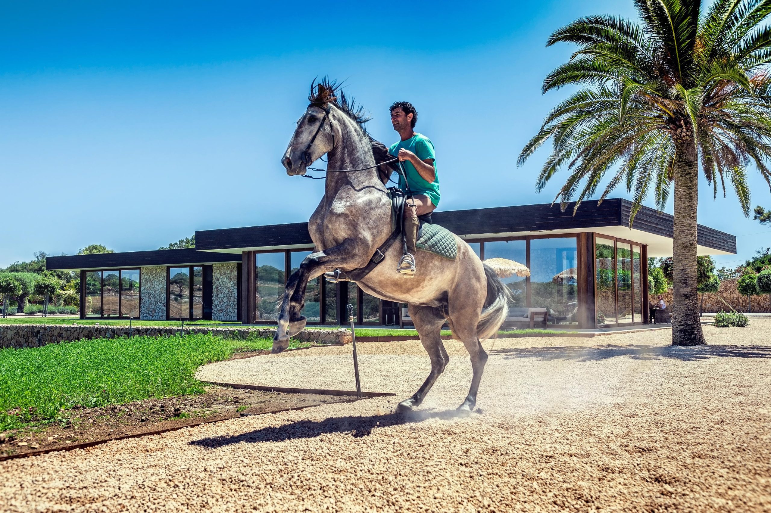A dynamic lifestyle shot captured by Wright Content, featuring a horse and rider in action. The stallion rears up on its hind legs, kicking up dust against the backdrop of a sleek glass-box modernist home and a towering palm tree